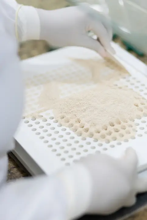 making capsules. compounding pharmacy. compounding medication.